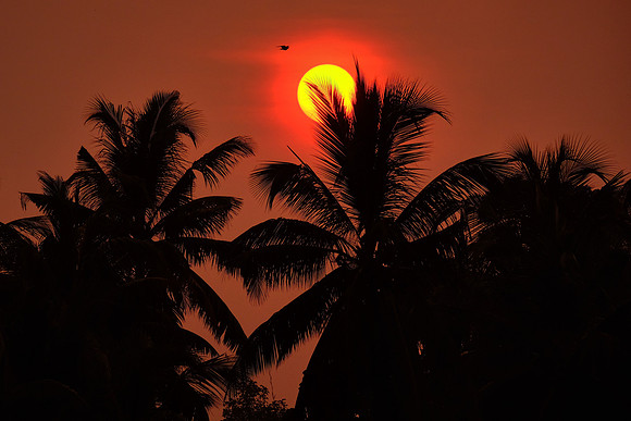 Sunset on the Kerala Backwater