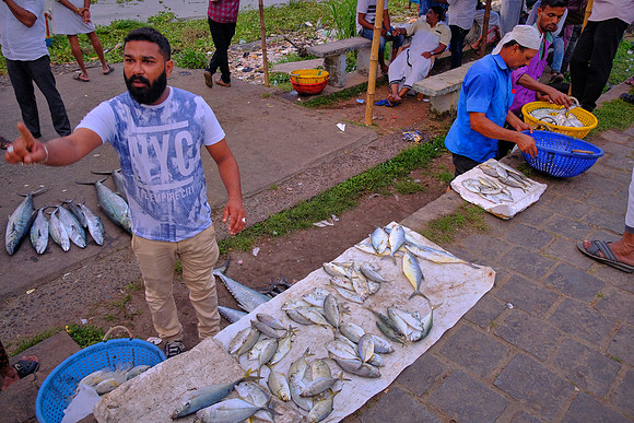 Sidewalk fish market, Kochi, India.