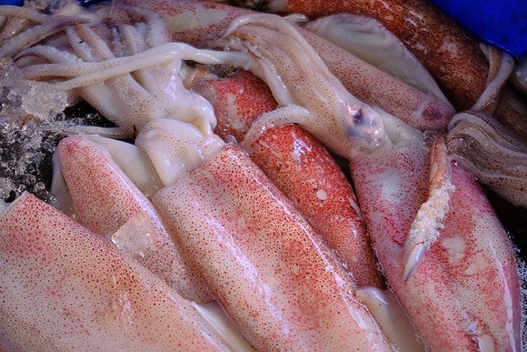 Squid at sidewalk fish market, Kochi, India.