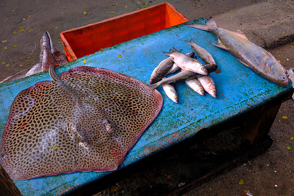 Sidewalk fish market, Kochi, India.