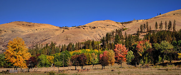On the road to the Palouse, Southeastern Washington