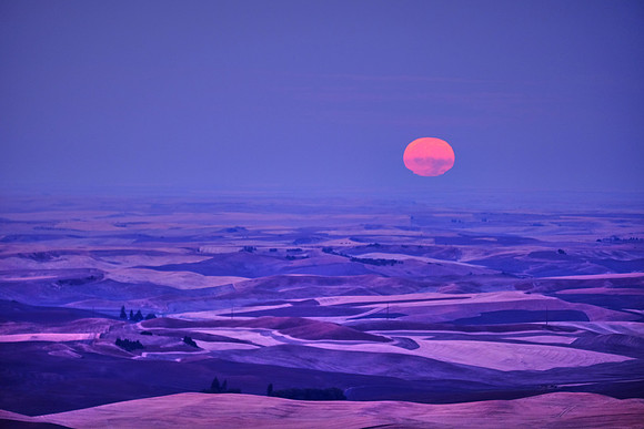 Moonset at Sunrise on The Palouse, Southeastern Washington