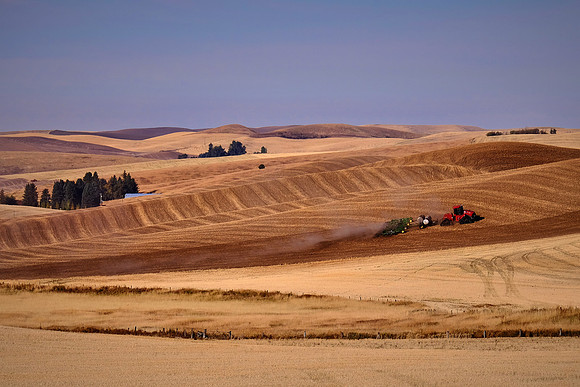 The Palouse, Southeastern Washington