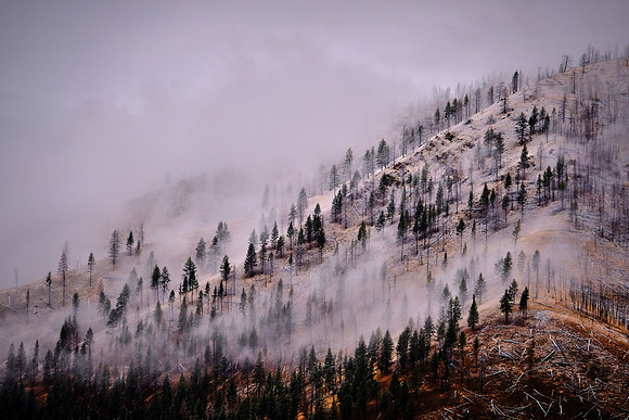 On the road to the Palouse, Southeastern Washington