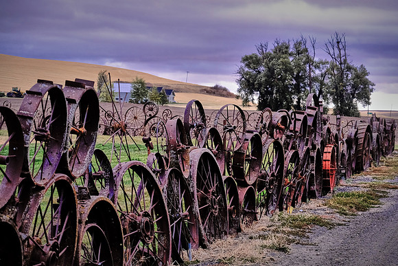 Artisans At The Dahmen Barn, The Palouse, Southeastern Washington
