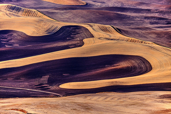 The Palouse, Southeastern Washington