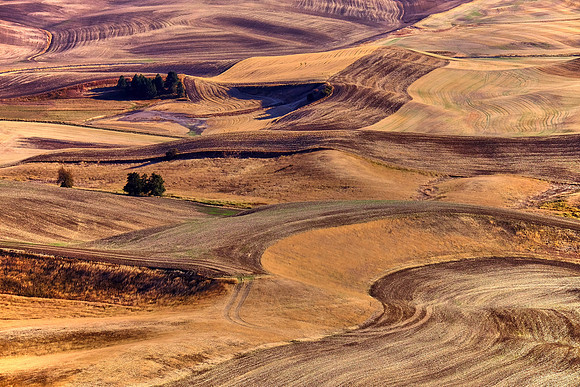 The Palouse, Southeastern Washington