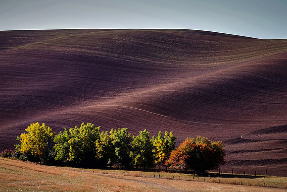 The Palouse, Southeastern Washington