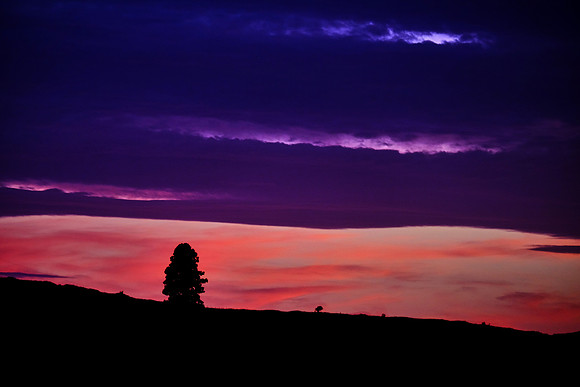 Sunset on The Palouse, Southeastern Washington