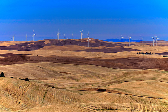 Wind Turbines on The Palouse, Southeastern Washington