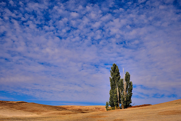 The Palouse, Southeastern Washington
