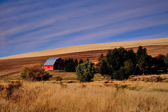 The Palouse, Southeastern Washington
