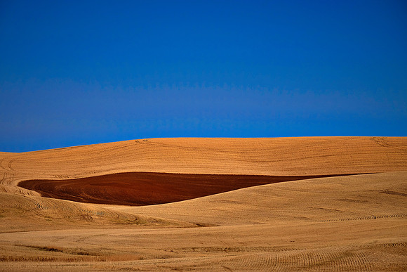 The Palouse, Southeastern Washington