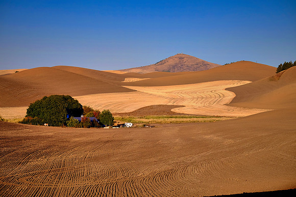 The Palouse, Southeastern Washington