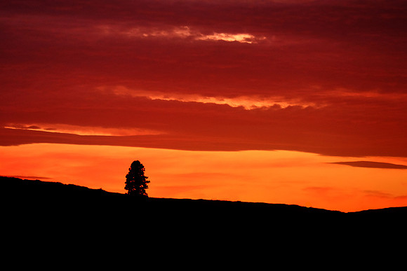 Sunset on The Palouse, Southeastern Washington