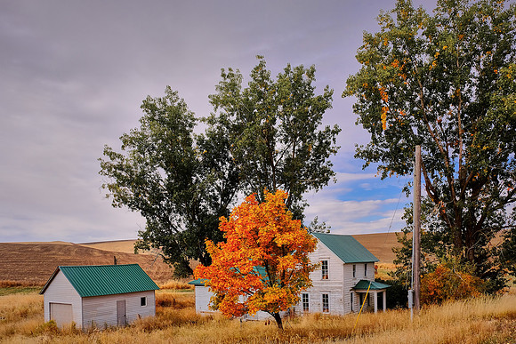 The Palouse, Southeastern Washington
