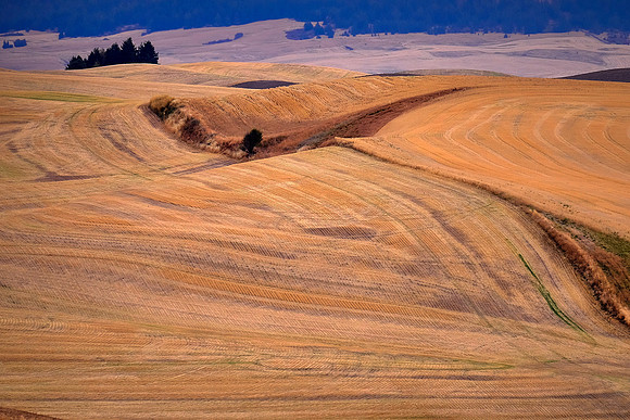 The Palouse, Southeastern Washington