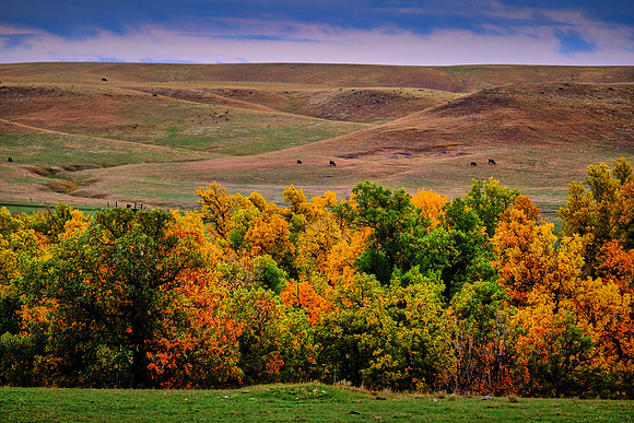 On the road to the Palouse, Southeastern Washington