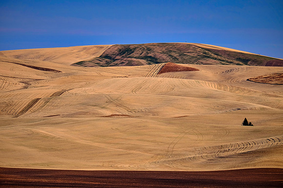 The Palouse, Southeastern Washington