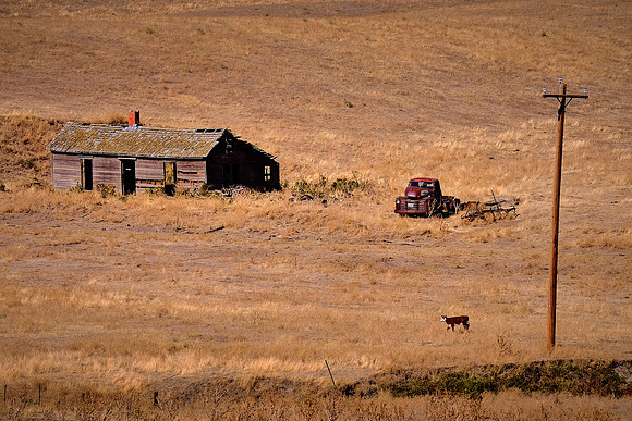 The Palouse, Southeastern Washington