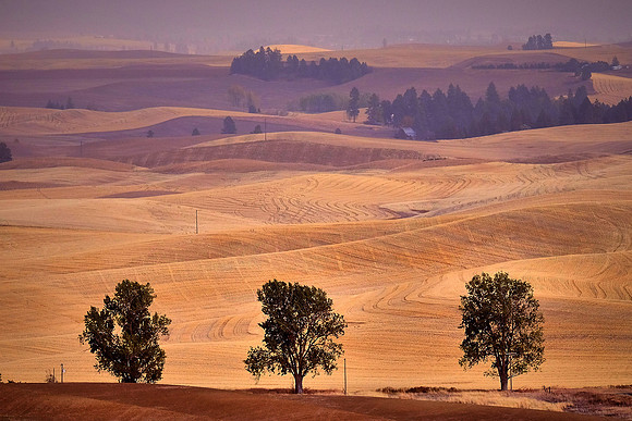 The Palouse, Southeastern Washington