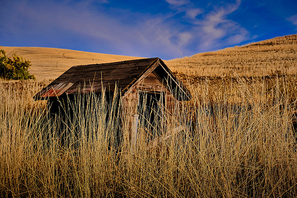 The Palouse, Southeastern Washington
