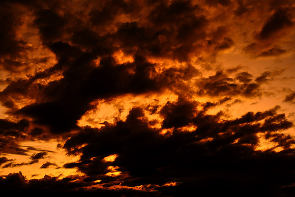 Sunrise on The Palouse, Southeastern Washington