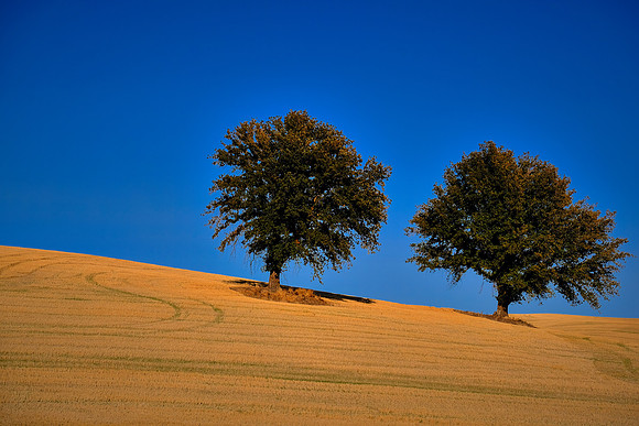 The Palouse, Southeastern Washington