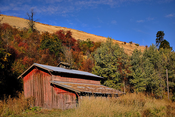 The Palouse, Southeastern Washington