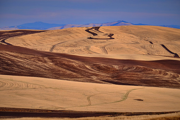 The Palouse, Southeastern Washington