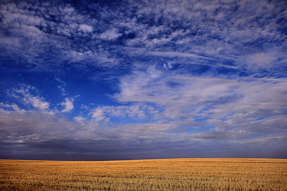 The Palouse, Southeastern Washington