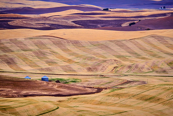 The Palouse, Southeastern Washington