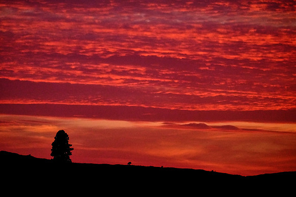 Sunset on The Palouse, Southeastern Washington