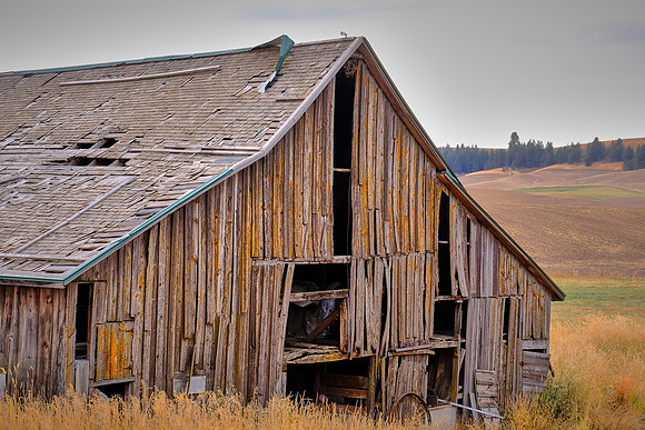 The Palouse, Southeastern Washington