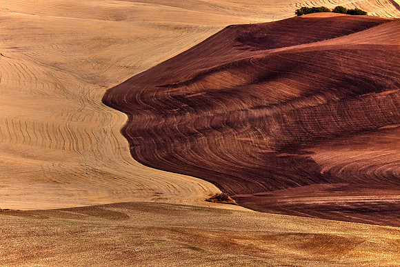 The Palouse, Southeastern Washington