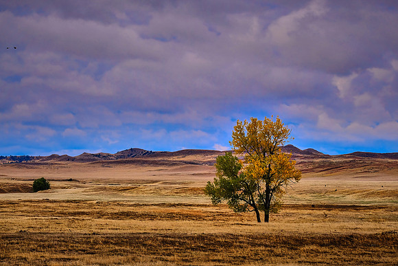 On the road to the Palouse, Southeastern Washington