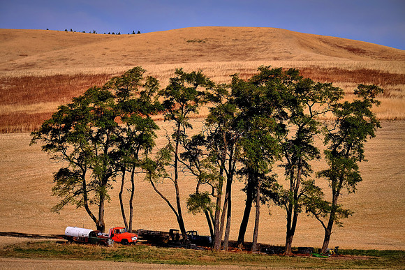 The Palouse, Southeastern Washington