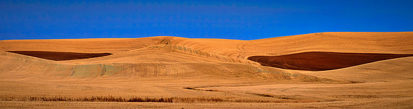 The Palouse, Southeastern Washington