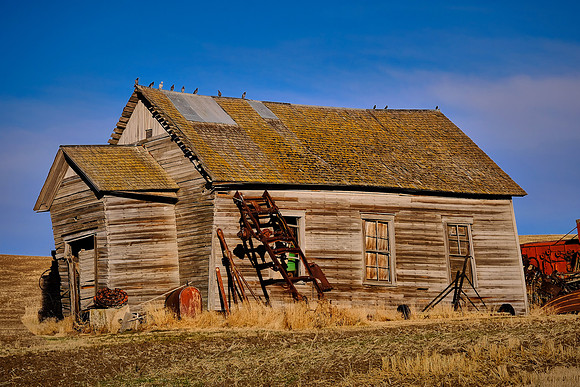 The Palouse, Southeastern Washington
