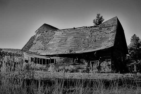 The Palouse, Southeastern Washington