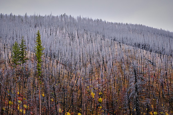 On the road to the Palouse, Southeastern Washington
