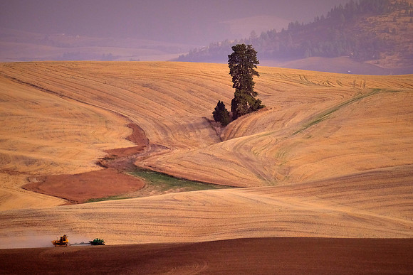 The Palouse, Southeastern Washington