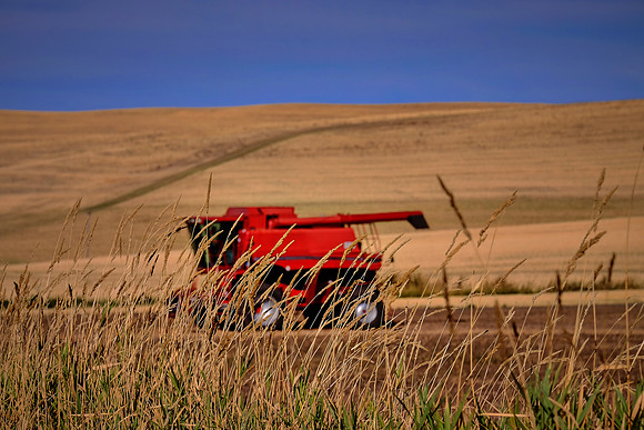 The Palouse, Southeastern Washington