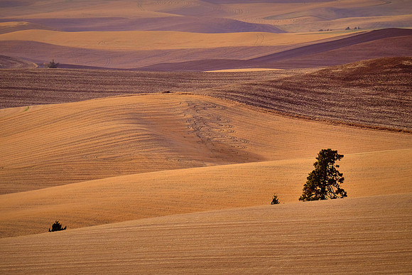 The Palouse, Southeastern Washington