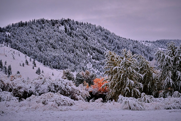 On the road to the Palouse, Southeastern Washington