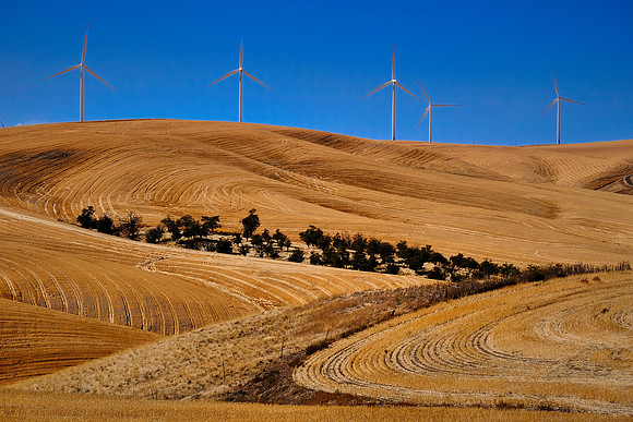 Wind Turbines on The Palouse, Southeastern Washington