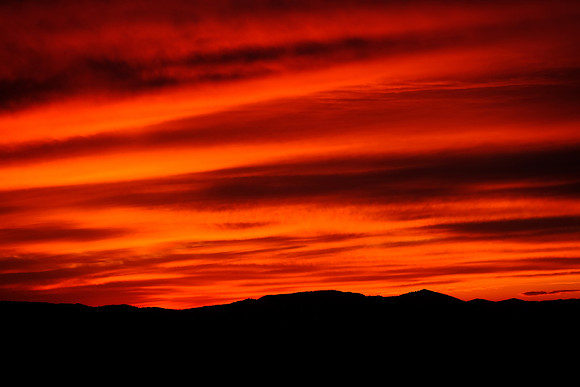 Sunrise on The Palouse, Southeastern Washington