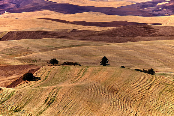 The Palouse, Southeastern Washington