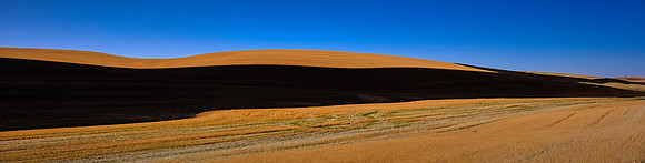 The Palouse, Southeastern Washington