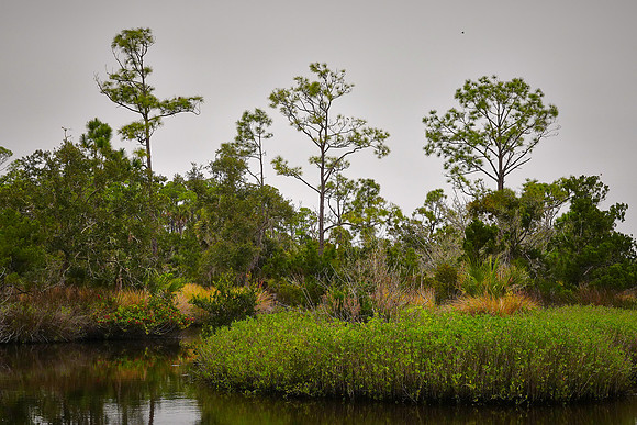 Bulow Creek, Ormond Beach, FL